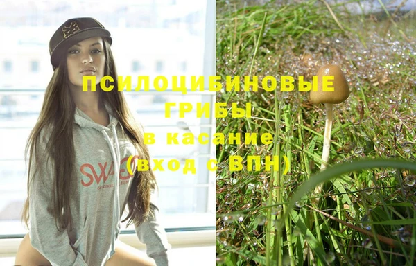 спиды Абинск
