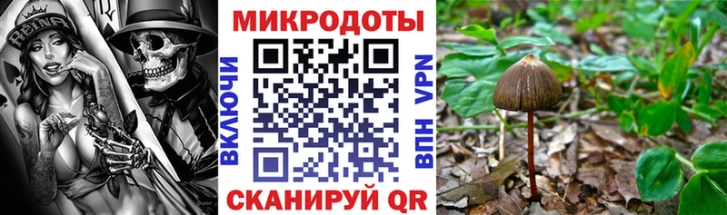 ссылка на мегу онион  Александровск-Сахалинский  Галлюциногенные грибы Psilocybine cubensis 